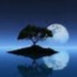 Meet your Posher, Lila